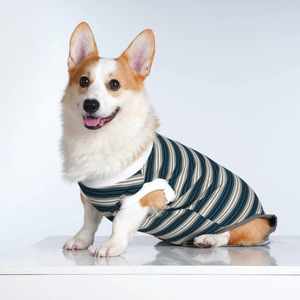 חליפת עיקור לכלבים נוחה ונושמת לאחר ניתוח, מונעת ליקוק, מכנסיים סניטריים לגמילה לחיות מחמד, לכלבים קטנים ובינוניים - Product Image 4