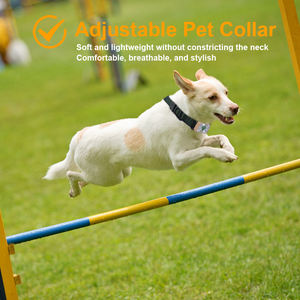 Monitor Inteligente de <span class=keywords><strong>Salud</strong></span> para Mascotas B2B, Análisis de Datos en la Nube, Rastreador Portátil, Logotipo Personalizado, Servicio OEM para Marcas de Seguros para Mascotas - Product Image 4