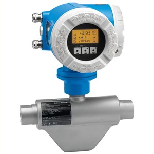 เครื่องวัดอัตราการไหลแบบโคริโอลิส E+H Proline Promass 83E OEM ผลิตจากสแตนเลส สำหรับวัดการไหลของน้ำ - Product Image 5