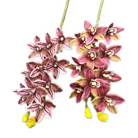 Real Touch Artificielle 10 Têtes Cymbidium Hookerianum Fleur Branche Tropicale Phalaenopsis Tigre Orchidée Plante pour Décoration de Noël