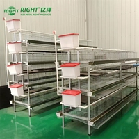 Cage à poules de type H galvanisée à chaud, 3 niveaux, 4 portes, 96 poules, avec système de collecte des œufs et bande transporteuse à fumier pour élevage avicole