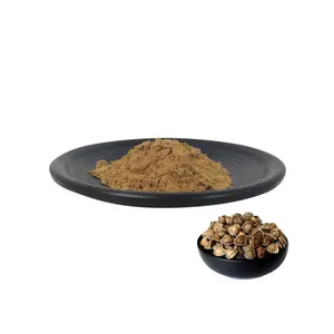 FSSC22000 Factory Produce Moringa Oleifera Extract Powder/Can Supply Fine Products of Moringa