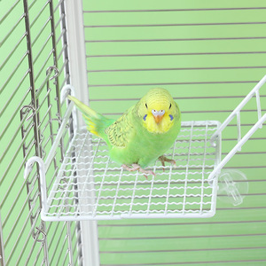 New Parrot Trạm Mạng Nền Tảng Tương Tác Phần Còn lại Trạm Giá Nhảy Nền Tảng Thang Leo Núi Đồ Chơi Thép Không Gỉ - Product Image 5