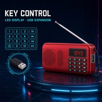 P2MAX L558 Wiederaufladbares Digitales Tragbares Radio 2400mAh Akku FM Uhr/Wecker Notbeleuchtung Unterstützt MP3/TF/USB/AUX