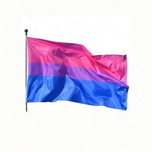 Bandera de Arcoíris de Poliéster Resistente, Diseño Personalizado, Colorida, para el Orgullo Gay y Lésbico - Product Image 2