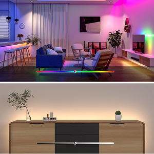 Tira de LED Digital Direccionable Dream Color DC24V 784LEDs FCob Pixel RGBW con Efecto de Persecución - Product Image 6