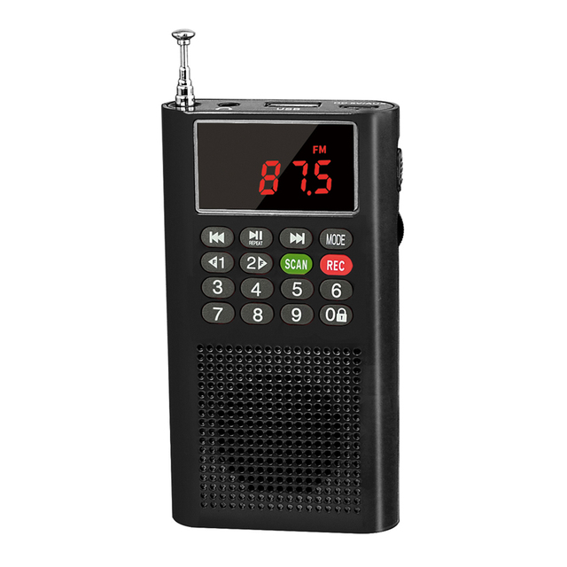 Dewant L-358 Mini Fm Radio Support 4GB/8GB/16GB/32GB USB Flash Drive Reading Mp3 Player With Speaker