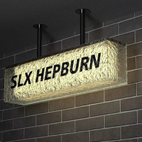 Letrero Acrílico con Luz LED 3D Personalizado, Control Remoto, Multicolor, Neón, IP65 Impermeable, 3 Años de Garantía, Publicidad para Empresas de Automóviles