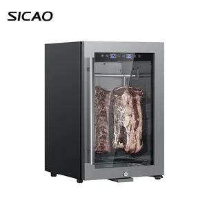 52l Home Use Stainless Steel Humidity Control Dry Aging Fridge Beef Meat