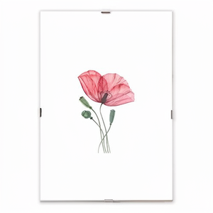 Lupia Frameless Clip Photo <strong>Frame</strong> with MDF Material <strong>20</strong> <strong>X</strong> <strong>30</strong> cm - Product Image 2