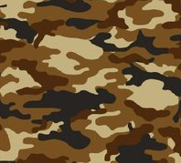camouflage