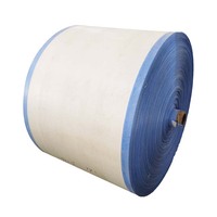 PP tissé tissu Chine poly sac polypropylène tissu pp tissé rouleaux