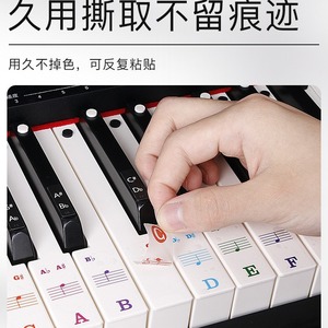 Piano Keyboard Stickers 88 61 54 <b>Keys</b> Universal With Note <b>Labels</b> For Electronic Piano <b>Key</b> Cover - Product Image 2