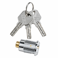 Serrure à cylindre fileté, corps poli, 3 clés, rainure de précision, structure solide, taille personnalisée, large application