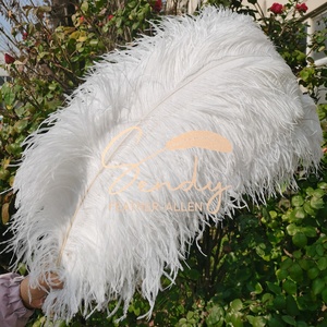 Plumas de Avestruz Naturales Blancas Grandes de 75-80cm, Plumas de Avestruz al por Mayor para Centros de Mesa de Bodas y Carnavales - Product Image 2
