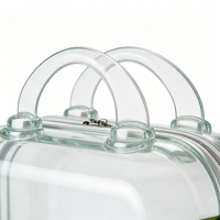 2026 Personnalisé en usine, Mini trousse de maquillage portable 14 pouces en PC ABS transparent, étanche, avec fermeture éclair, étui de protection pour cadeaux