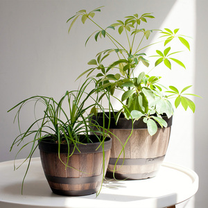 Maceta Moderna de Plástico Ecológico con Forma de Barril y Aspecto de <span class=keywords><strong>Madera</strong></span> para Jardín, Suelo y Centros Comerciales - Product Image 5