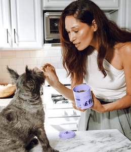 Honey Pet OEM ODM Golosinas para Pollos para Alergias y Picazón, Salud Intestinal, Salud de la Piel, Salud Inmunológica General, Empaque Libre de Plástico - Product Image 4