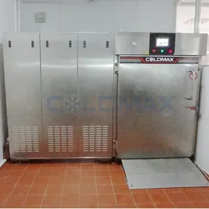 Gıda vakum soğutma makinesi/sebze hazır yemek ön- soğutma ekipmanları