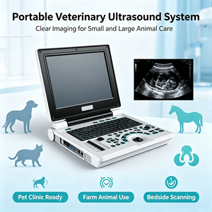 Scanner à ultrasons noir et blanc pour ordinateur portable à double prise LCD de 12.1 "à bas prix avec <span class=keywords><strong>sonde</strong></span> convexe - Product Image 3