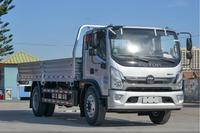 Camion cargo personnalisé avec grue Cargos Mini camion à benne basculante électrique Camions cargo motocyclette à vendre
