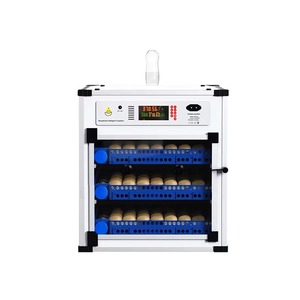 Mini Incubadora <span class=keywords><strong>de</strong></span> Huevos Automática Inteligente, Incubadora Pequeña para Aves <span class=keywords><strong>de</strong></span> Corral, para Huevos <span class=keywords><strong>de</strong></span> Gallina, Pato y Pájaros, Cría en Granjas - Product Image 3