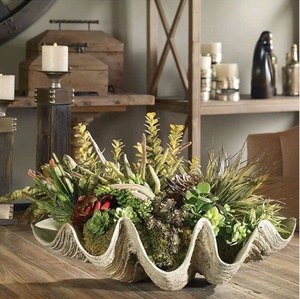 Vườn Khổng Lồ Làm Bằng Tay Nhựa Vỏ Sò Bức Tượng Nghệ Thuật Thiên Nhiên Vỏ Biển Trồng Trang Trí Nội Thất Sedex/Bsci Chứng Nhận Trang Trí Nội Thất - Product Image 2