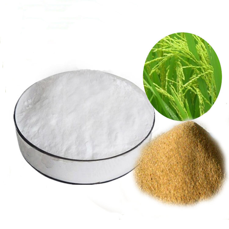 rice bran ferulic acid