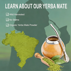 Extracto de <span class=keywords><strong>Yerba</strong></span> Mate en Polvo de Marca Privada OEM/ODM, Polvo de Té de <span class=keywords><strong>Yerba</strong></span> Mate - Product Image 5