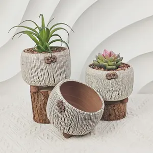 Vaso da fiori in ceramica succulenta a forma di vaso da fiori in ceramica con vaso di fiori in ceramica