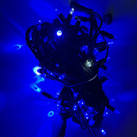 Guirlandes lumineuses LED multicolores étanches pour extérieur, câble en caoutchouc noir, connectables, décorations de fêtes commerciales