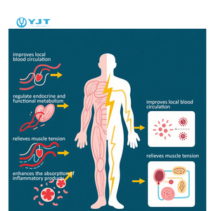 Macchina di terapia termica a corrente di media frequenza per alleviare il dolore e attrezzature di terapia fisica nel settore sanitario - Product Image 3