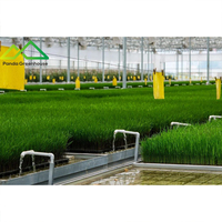 Serre hydroponique intelligente à grande échelle pour la culture de l'herbe, solution technologique à haut rendement, système hydroponique DWC
