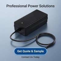 Adaptador de Corriente Magnético LiFePO4 de 29.2V 8A para Robot de Almacenamiento de Energía de 24V, Protección OTP/OVP, Puerto CC, Certificado CE RoHS