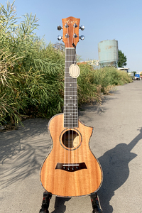 Aiersi thương hiệu Gỗ gụ 24 inch Ấn Độ Rosewood buổi hòa nhạc Ukulele Guitar cutaway chất lượng tốt giá bán buôn dây cụ - Product Image 2
