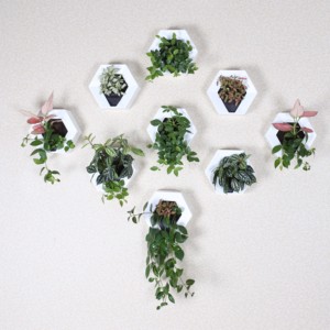 Macetas de Pared <span class=keywords><strong>para</strong></span> Plantas de Interior, Macetas Verticales DIY, Macetas Hexagonales Ligeras, Macetas Colgantes Decorativas <span class=keywords><strong>para</strong></span> Plantas - Product Image 6