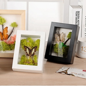 Top Bán Giá Rẻ Bất Bướm Bộ Sưu Tập Bóng Hộp MDF Khung Ảnh Bán Buôn - Product Image 1