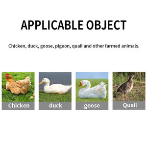 Эффективное лечение кокцидиоза, предотвращающее передачу корма для кур, корма для птиц - Product Image 5