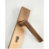 Ensemble de poignées de porte ambidextres en alliage de zinc gris, style européen, norme européenne, pour hôtel et appartement.