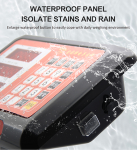 Điện tử Quy mô 100kg 150kg 200kg 300kg 500kg kỹ thuật số TCS điện tử nền tảng quy mô - Product Image 2