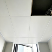 Panneau acoustique suspendu perforé en aluminium ignifuge avec revêtement en poudre, 600x600 mm, pour bureaux et bâtiments commerciaux