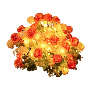 Luces de Navidad LED para exteriores Test Pro - Product Image 1