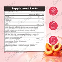 Perzik smaak detox poeder kruiden drankmix dagelijkse wellness supplement private label OEM aangepaste formule fabrikant leverancier