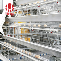 Système de cages à poulettes haute densité à 3, 4 ou 5 niveaux en fil d'acier galvanisé soudé pour l'élevage de poussins, destiné à l'équipement d'élevage avicole