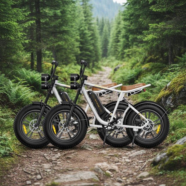 Engwe M20 Customization 13ah*2 750w Electric Motorcycle 20 Inch Fat Tire Ebike Engwe M20 Dual Suspension Mountain Bike