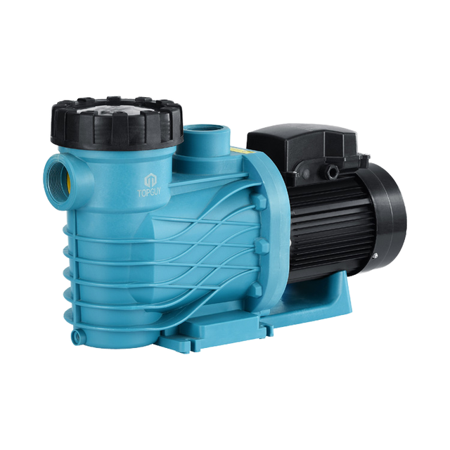 High-Speed 1.5hp Swimming Pool Water Pump Filter 2hp and 3hp Variants Available Heat Pump Cleaner Pool Water Filter Pump