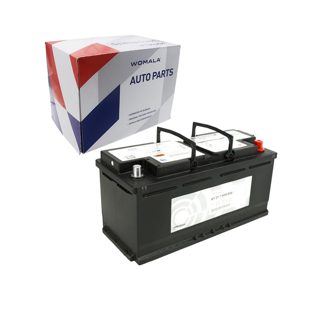 Womala 61217604808 Auto Parts Engine Vehicle Battery Electric System Starter Battery for BMW 5 F10 520