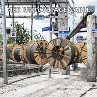 Câble d'alimentation moyenne tension à conducteur en cuivre, isolation XLPE, gaine en PVC, indice de protection IP66, 1 conducteur, industriel, 11 KV -30°C~155°C, Jinda