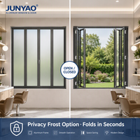 Fenêtre pliante en aluminium JUNYAO résistante aux intempéries, insonorisée, à double vitrage trempé 5+20A+5, économie d'énergie, extérieure