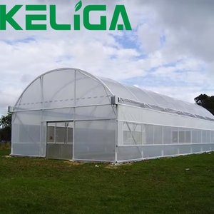 Serra agricola marocco con sistema di ombreggiatura piccola serra a tunnel basso per <span class=keywords><strong>semi</strong></span> di <span class=keywords><strong>pomodoro</strong></span> - Product Image 2